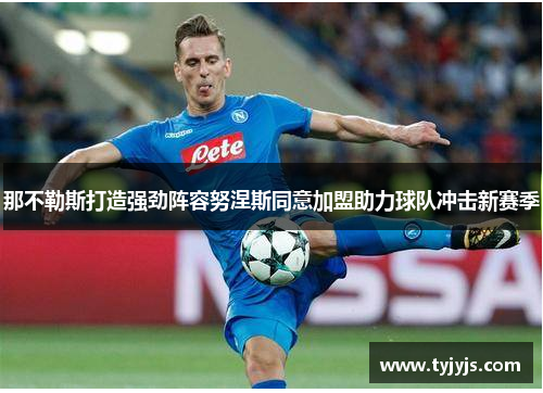 那不勒斯打造强劲阵容努涅斯同意加盟助力球队冲击新赛季