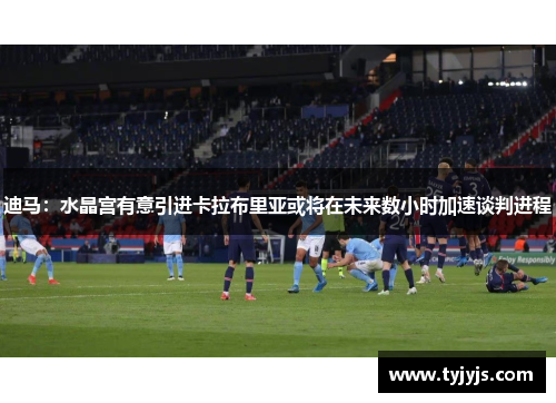 迪马：水晶宫有意引进卡拉布里亚或将在未来数小时加速谈判进程